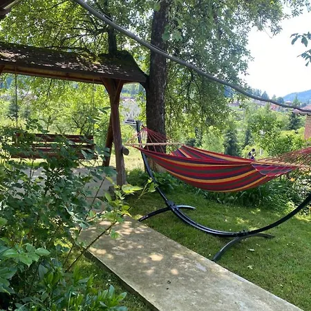 Batkivska Svitlitsa New без господарів *