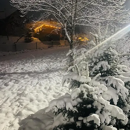 Batkivska Svitlitsa New без господарів * Slavske