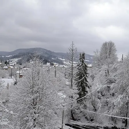 Batkivska Svitlitsa New без господарів *