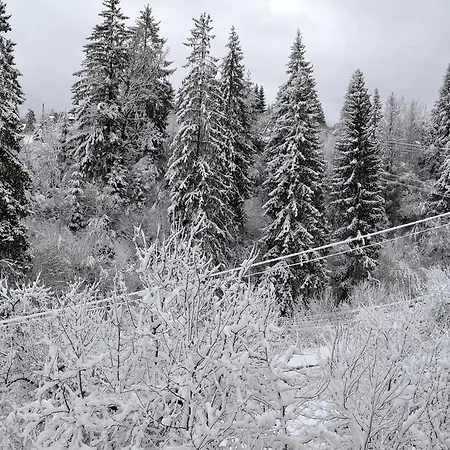 Batkivska Svitlitsa New без господарів Appartement *