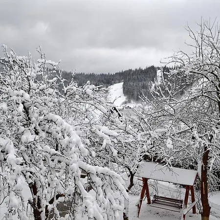 Batkivska Svitlitsa New без господарів Slavske