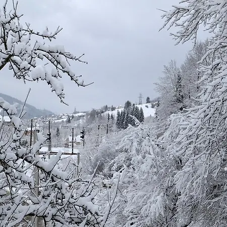 Batkivska Svitlitsa New без господарів * Slavske