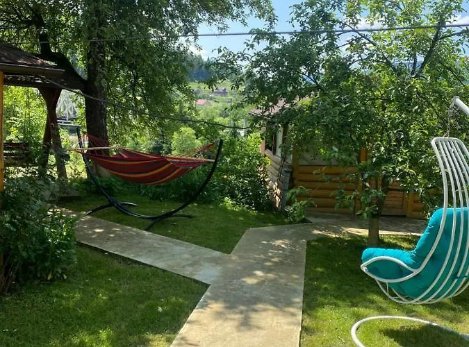 Batkivska Svitlitsa New без господарів Slavske