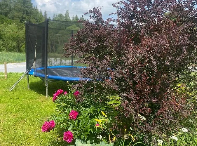 Apartment Batkivska Svitlitsa New без господарів *