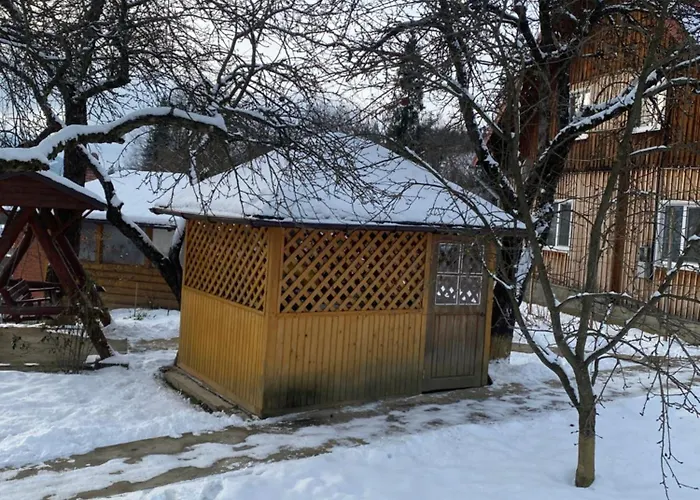 Batkivska Svitlitsa New без господарів Apartment