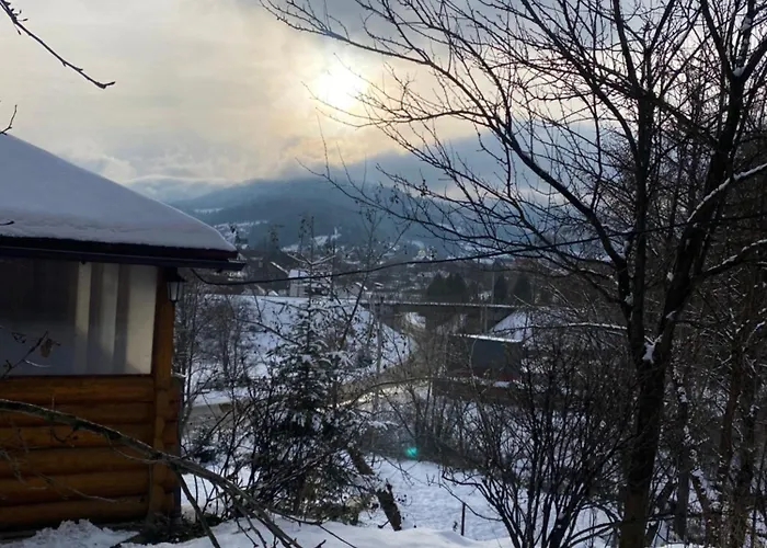 Batkivska Svitlitsa New без господарів *