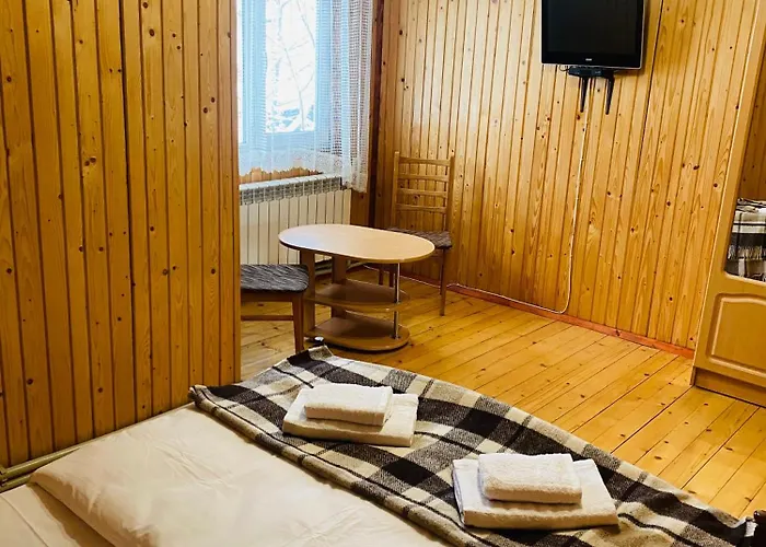 Batkivska Svitlitsa New без господарів *