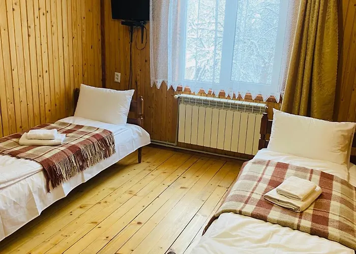 Batkivska Svitlitsa New без господарів Apartment Slavske