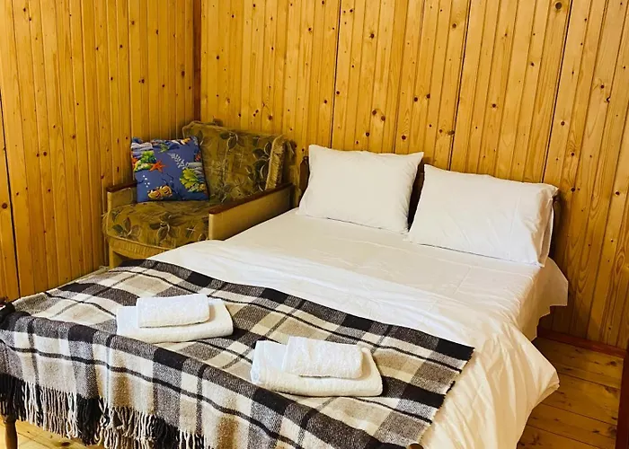 Apartment Batkivska Svitlitsa New без господарів Slavske
