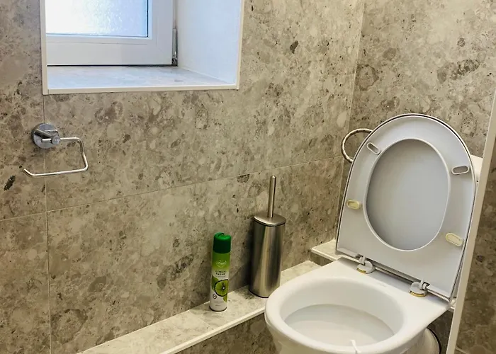 Batkivska Svitlitsa New без господарів Slavske