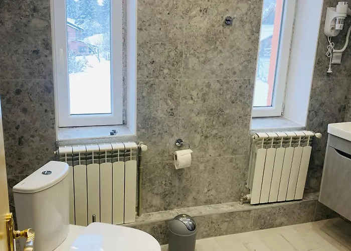 Batkivska Svitlitsa New без господарів Apartment Slavske
