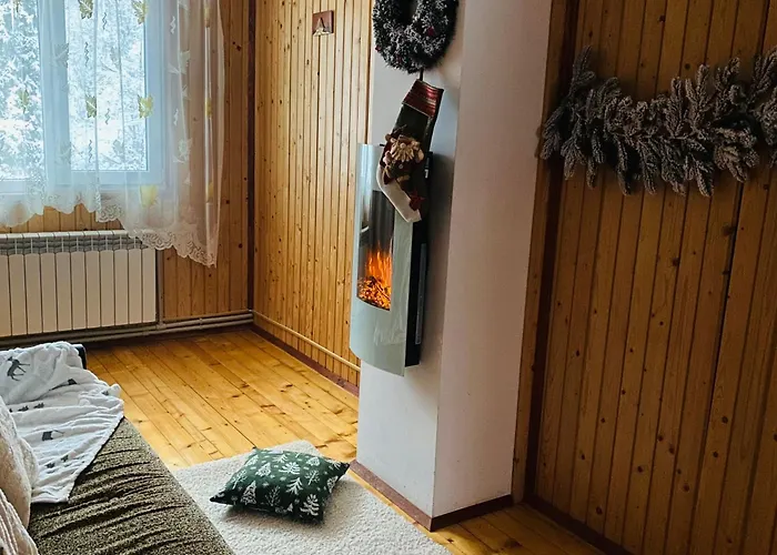 Batkivska Svitlitsa New без господарів Apartment